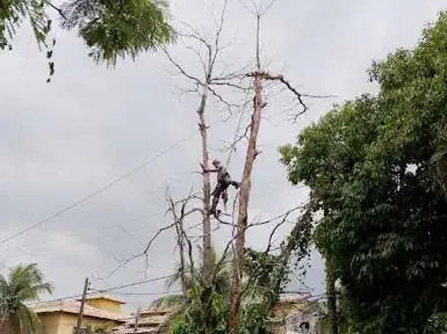 Terreno / Lote para Venda em Niterói/RJ Serra Grande