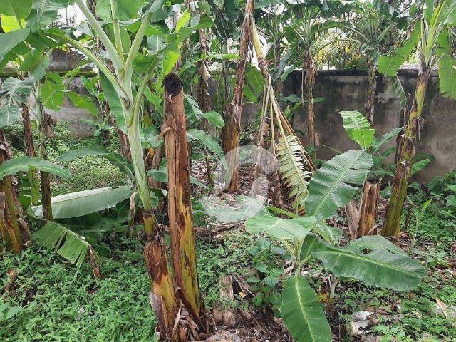 Terreno / Lote para Venda em Niterói/RJ Serra Grande