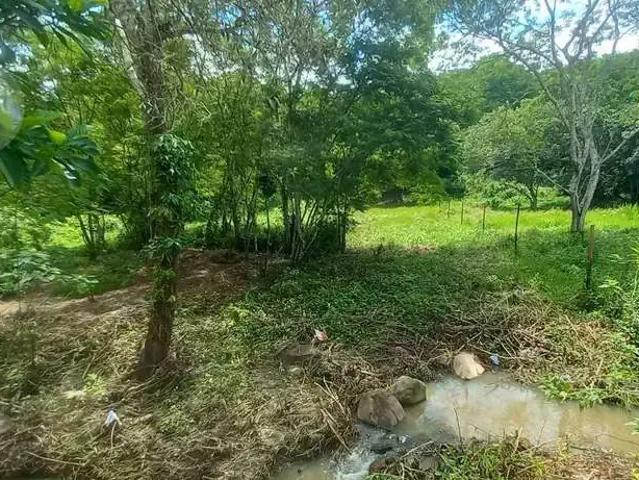Terreno / Lote para Venda em Niterói/RJ Pendotiba