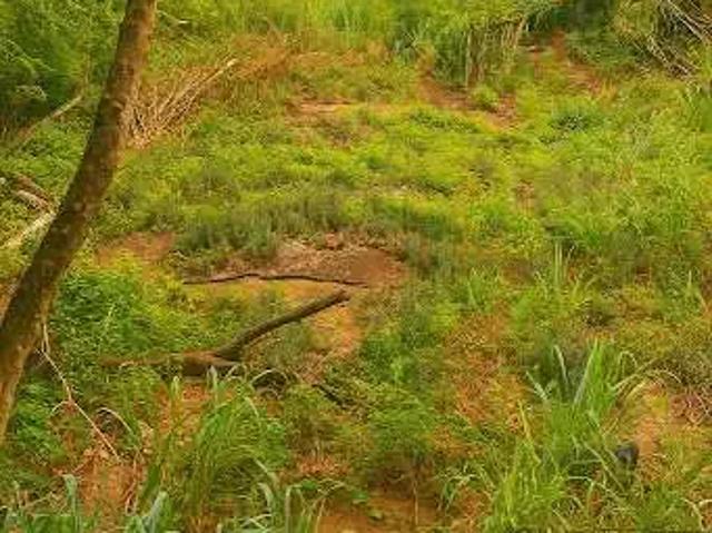 Terreno / Lote para Venda em Niterói/RJ Piratininga