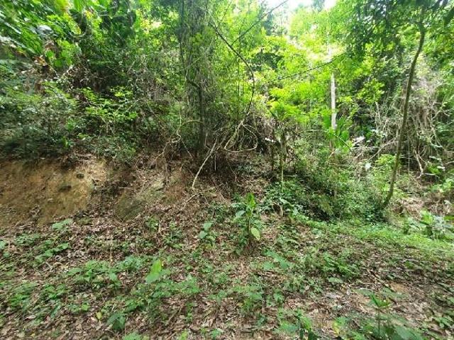 Terreno / Lote para Venda em Niterói/RJ Piratininga