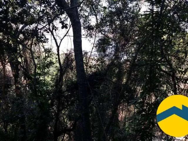 Terreno / Lote para Venda em Niterói/RJ Piratininga
