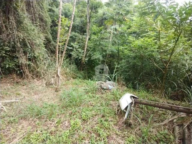 Terreno / Lote para Venda em Niterói/RJ Vila Progresso