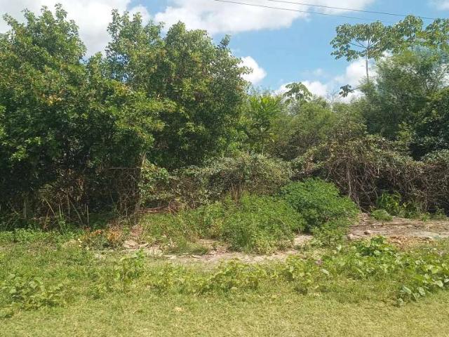 Terreno / Lote para Venda em Nossa Senhora do Socorro/SE Jardim