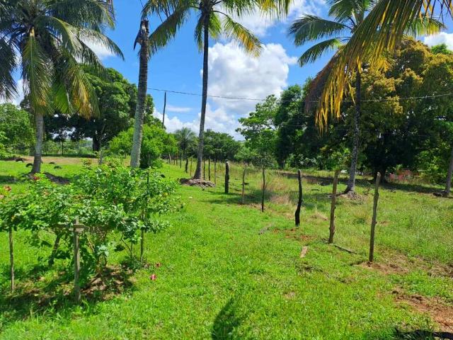 Terreno / Lote para Venda em Nossa Senhora do Socorro/SE Jardim
