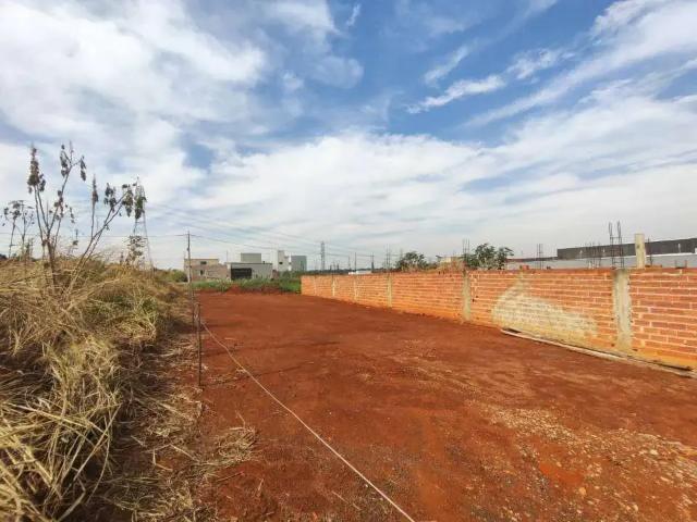 Terreno / Lote para Venda em Nova Odessa/SP Jardim dos Lagos