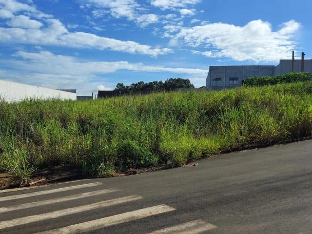 Terreno / Lote para Venda em Nova Odessa/SP Parque Industrial Progresso