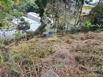 Terreno / Lote para Venda em Nova Friburgo/RJ Cônego