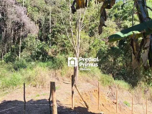 Terreno / Lote para Venda em Nova Friburgo/RJ Conselheiro Paulino