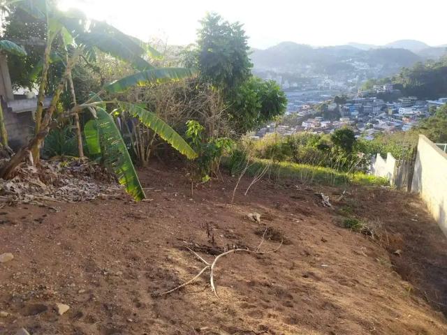 Terreno / Lote para Venda em Nova Friburgo/RJ Conselheiro Paulino