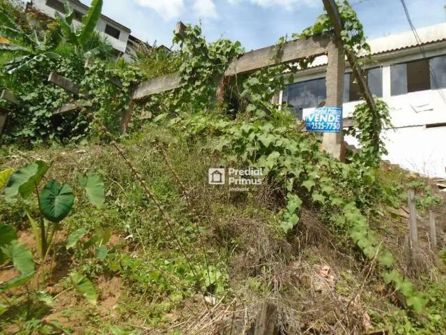 Terreno / Lote para Venda em Nova Friburgo/RJ Conselheiro Paulino