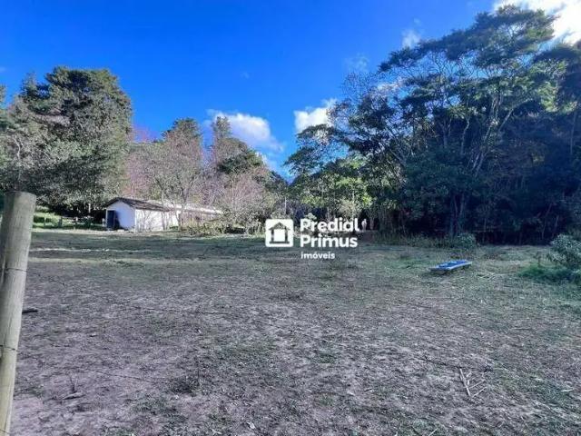 Terreno / Lote para Venda em Nova Friburgo/RJ Córrego D'Antas