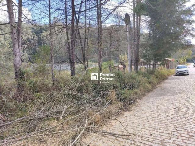 Terreno / Lote para Venda em Nova Friburgo/RJ Córrego D'Antas