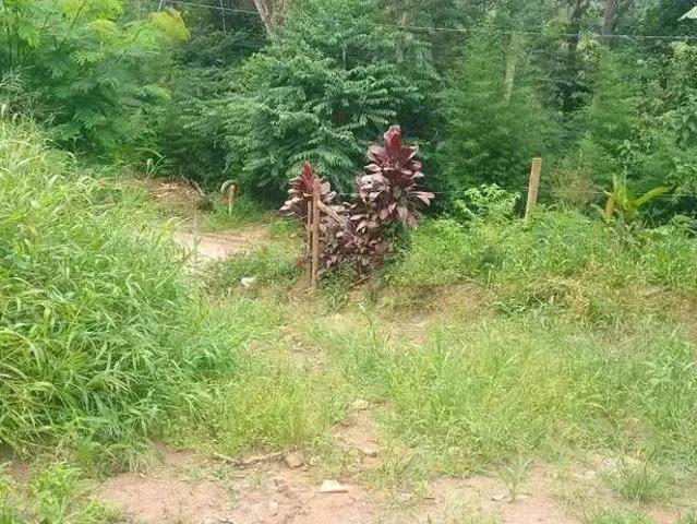 Terreno / Lote para Venda em Nova Friburgo/RJ Córrego D'Antas