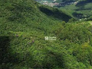 Terreno / Lote para Venda em Nova Friburgo/RJ Cascatinha