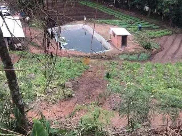 Terreno / Lote para Venda em Nova Friburgo/RJ Centro