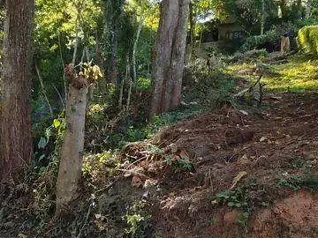 Terreno / Lote para Venda em Nova Friburgo/RJ Amparo
