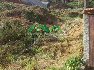Terreno / Lote para Venda em Nova Friburgo/RJ Braunes