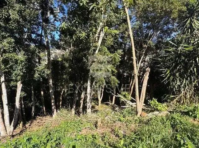 Terreno / Lote para Venda em Nova Friburgo/RJ Braunes