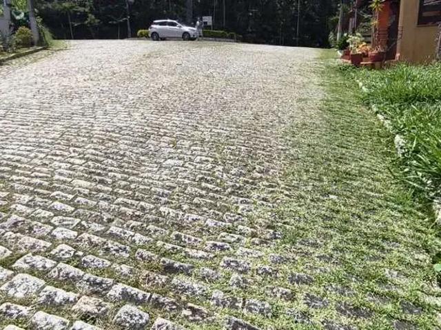 Terreno / Lote para Venda em Nova Friburgo/RJ Braunes