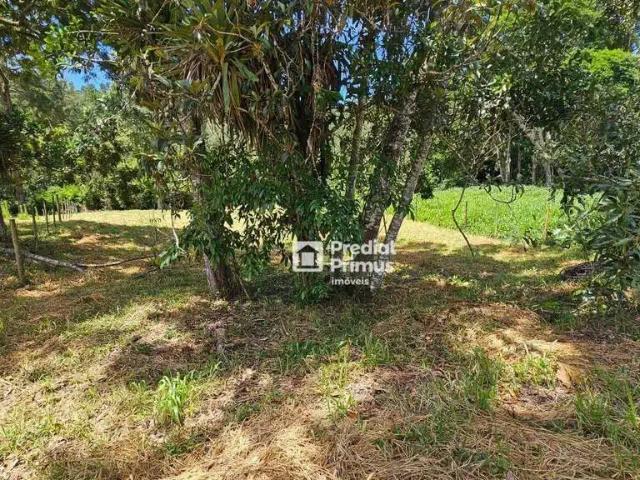 Terreno / Lote para Venda em Nova Friburgo/RJ Mury