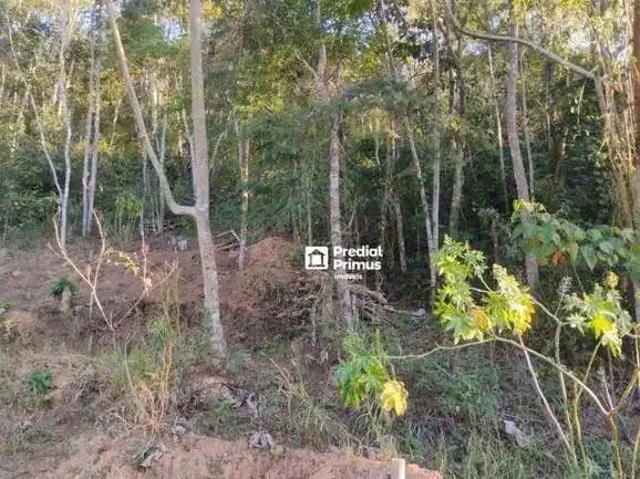 Terreno / Lote para Venda em Nova Friburgo/RJ Parque Dom João VI