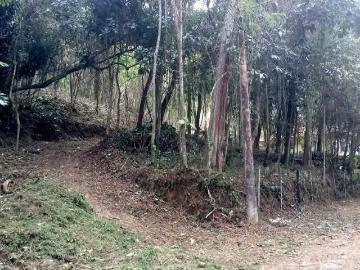 Terreno / Lote para Venda em Nova Friburgo/RJ Parque São Clemente