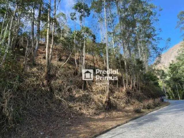 Terreno / Lote para Venda em Nova Friburgo/RJ Parque São Clemente
