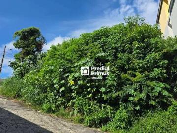 Terreno / Lote para Venda em Nova Friburgo/RJ Riograndina