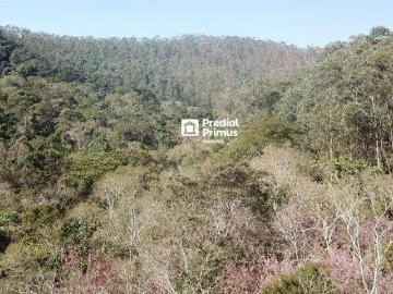 Terreno / Lote para Venda em Nova Friburgo/RJ Varginha