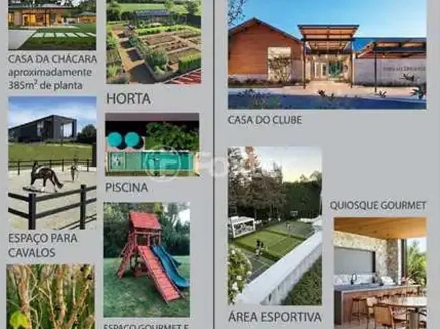 Terreno / Lote para Venda em Nova Hartz/RS Centro