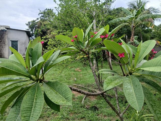 Terreno / Lote para Venda em Nova Iguaçu/RJ Campo Alegre