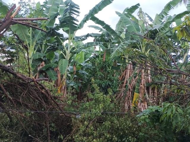 Terreno / Lote para Venda em Nova Iguaçu/RJ Parque Engenho Pequeno