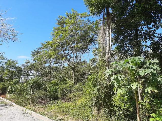 Terreno / Lote para Venda em Nova Iguaçu/RJ Tinguá