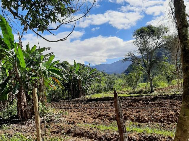 Terreno / Lote para Venda em Nova Iguaçu/RJ Tinguá