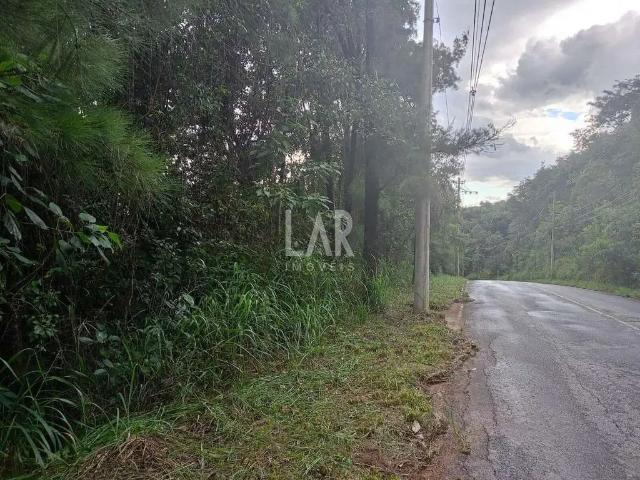 Terreno / Lote para Venda em Nova Lima/MG Vila Castela