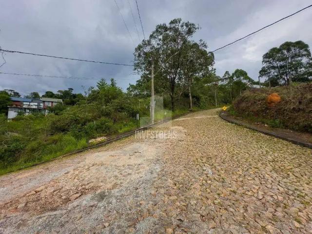 Terreno / Lote para Venda em Nova Lima/MG Conde