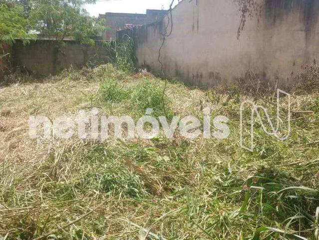Terreno / Lote para Venda em Nova Lima/MG Ouro Velho Mansões