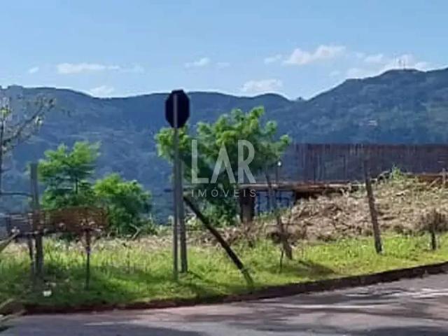 Terreno / Lote para Venda em Nova Lima/MG Pau Pombo