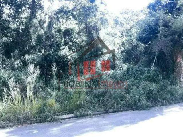 Terreno / Lote para Venda em Nova Lima/MG Pau Pombo