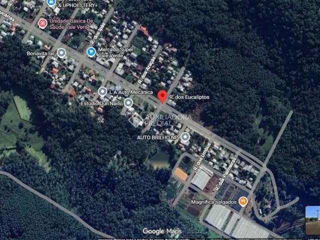 Terreno / Lote para Venda em Nova Petrópolis/RS Vale Verde