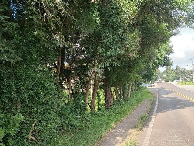 Terreno / Lote para Venda em Nova Petrópolis/RS Vale Verde