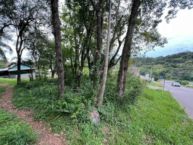Terreno / Lote para Venda em Nova Petrópolis/RS Vale Verde