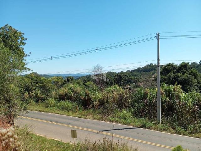 Terreno / Lote para Venda em Nova Petrópolis/RS Linha Olinda