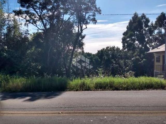 Terreno / Lote para Venda em Nova Petrópolis/RS Linha Olinda