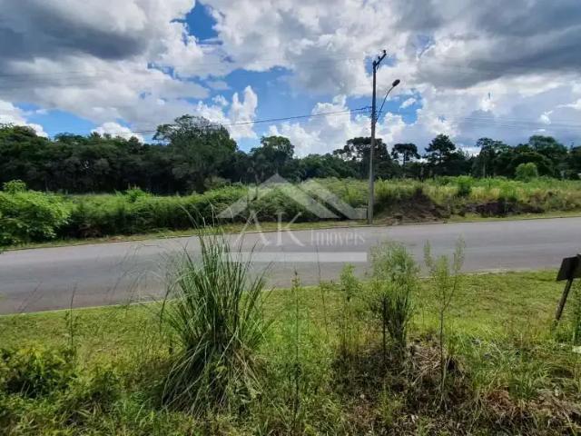 Terreno / Lote para Venda em Nova Petrópolis/RS Vila Germania