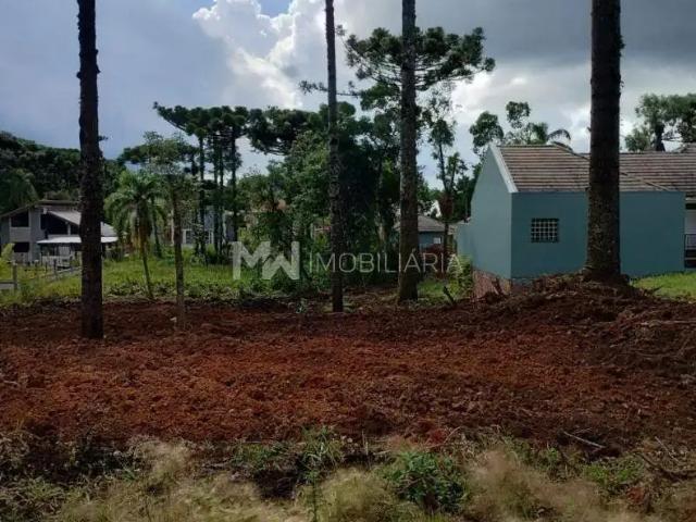 Terreno / Lote para Venda em Nova Petrópolis/RS Vila Germania