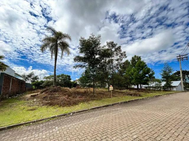 Terreno / Lote para Venda em Nova Petrópolis/RS Vila Germania