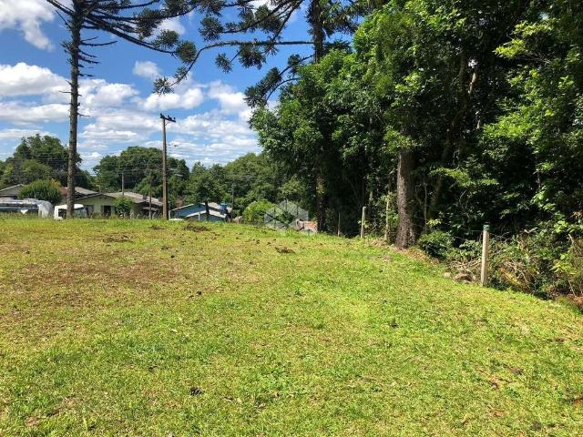 Terreno / Lote para Venda em Nova Petrópolis/RS Vila Germania