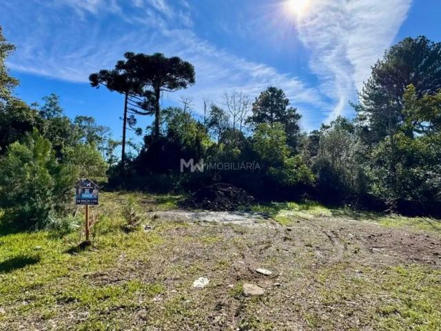 Terreno / Lote para Venda em Nova Petrópolis/RS Vila Germania
